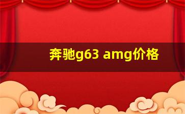 奔驰g63 amg价格